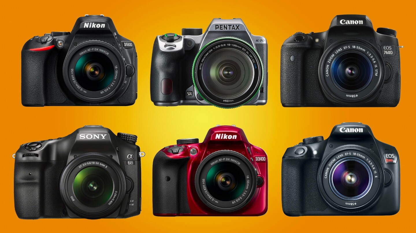 The best DSLR cameras for beginners