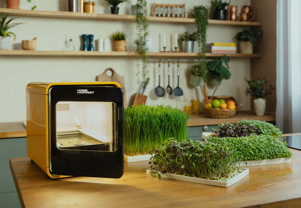 Countertop smart farm promises fresh greens in as little as 8 days