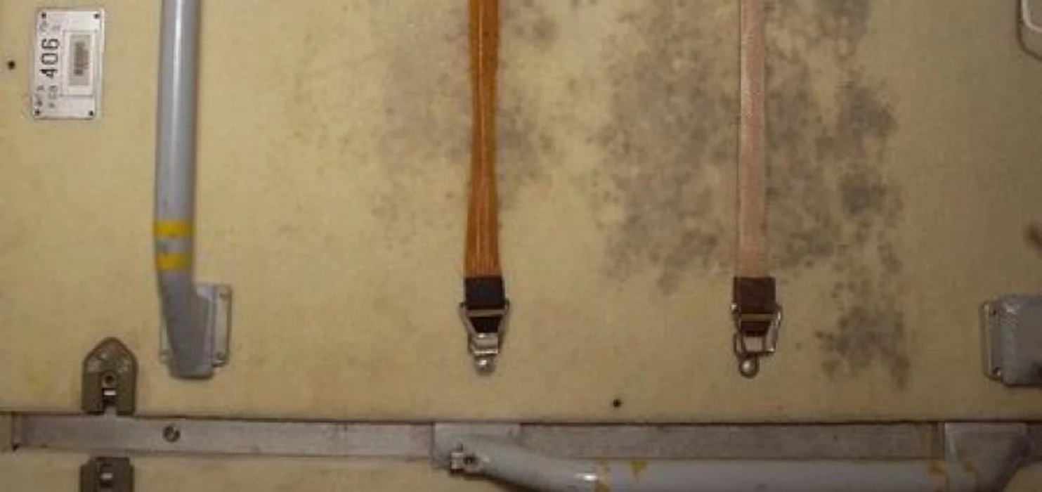 Mold grows on the International Space Station on a panel where exercise clothes were hung to dry
