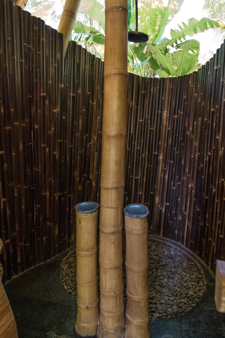 A shower head hanging from a trio of vertical bamboo shoots