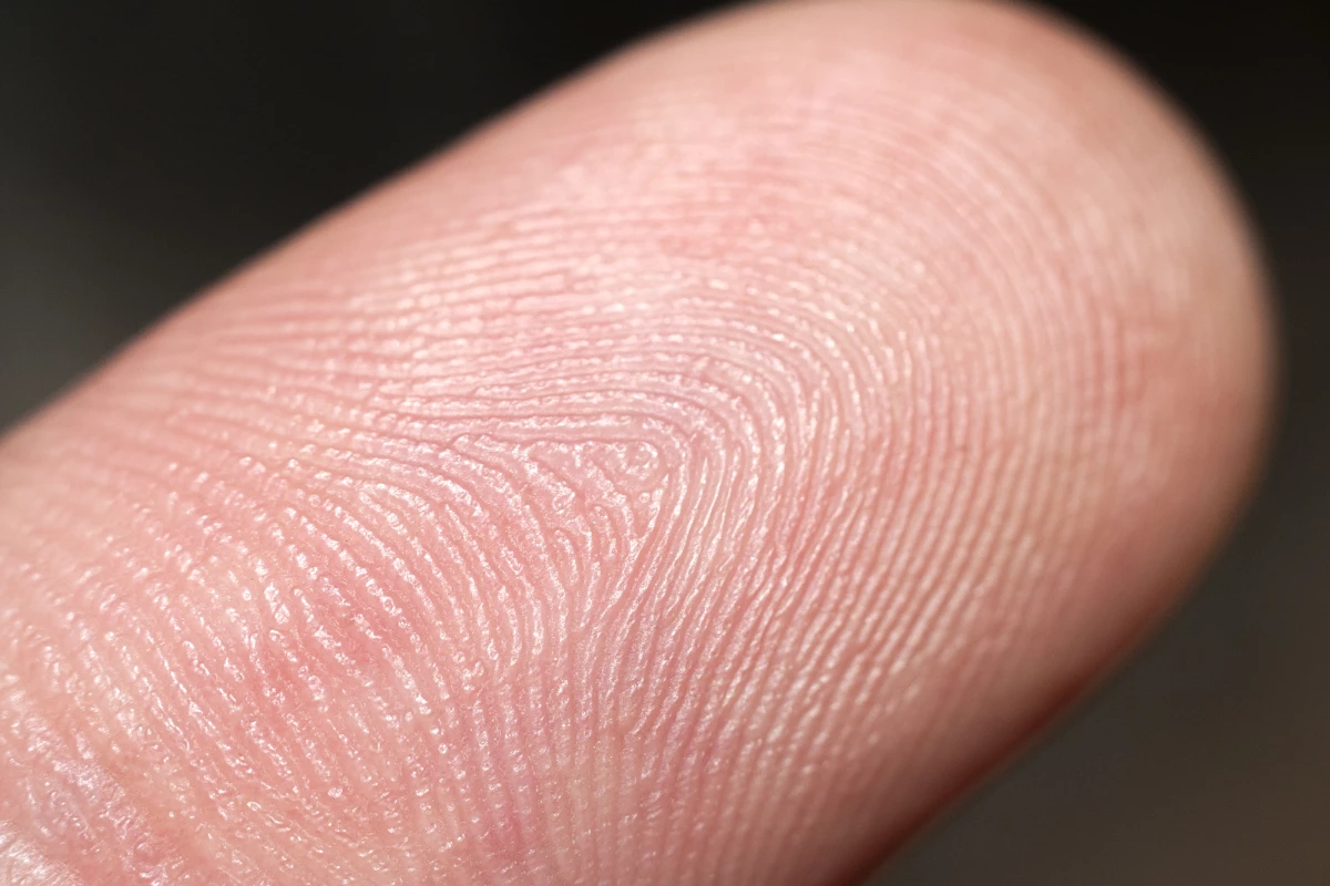 Bloodstream levels of certain antipsychotic drugs have been found to correspond to those in fingertip sweat