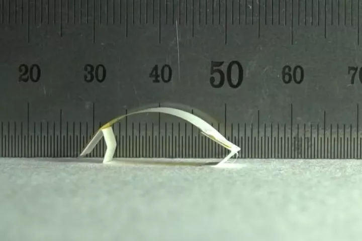 The microbot concept in motion