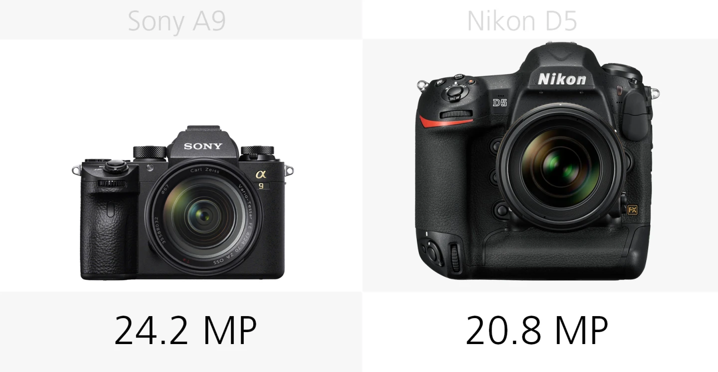 The megapixel count of the Sony A9 and Nikon D5 compared