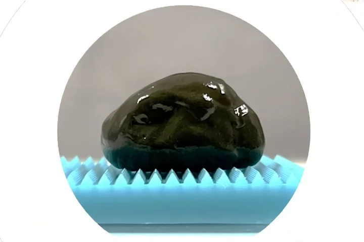 The liquid-bodied anti-biofilm robot