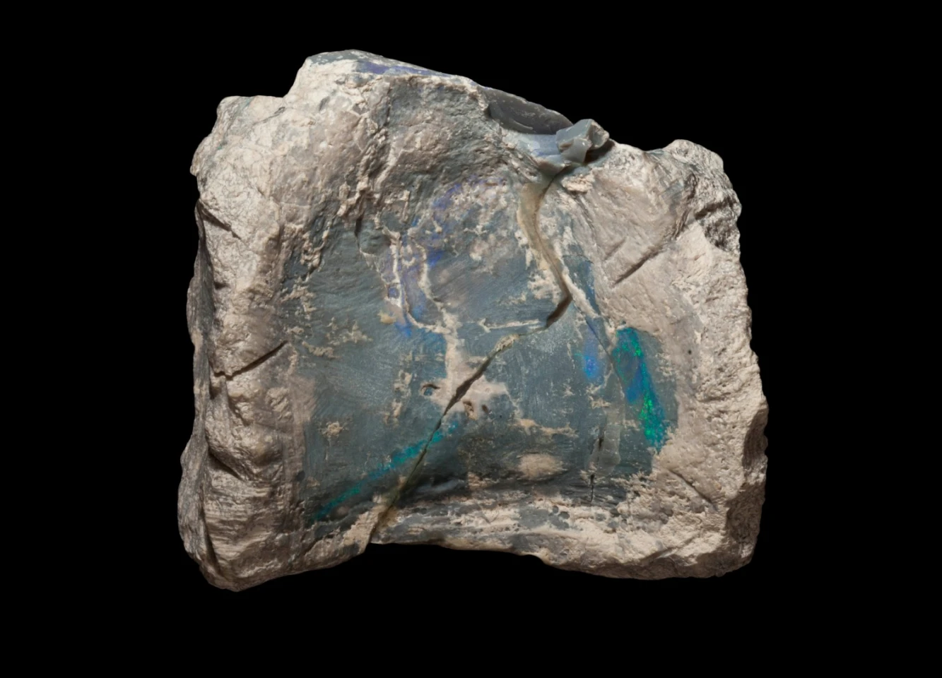 An opalized fossil vertebrae of Fostoria