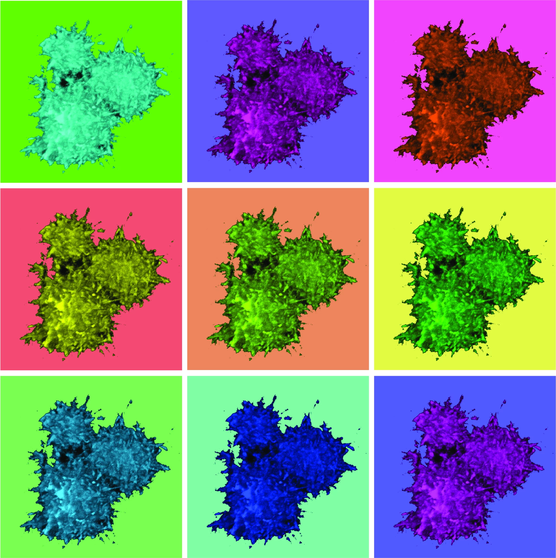 ASC specks, made up of ASC proteins, shown in different colors