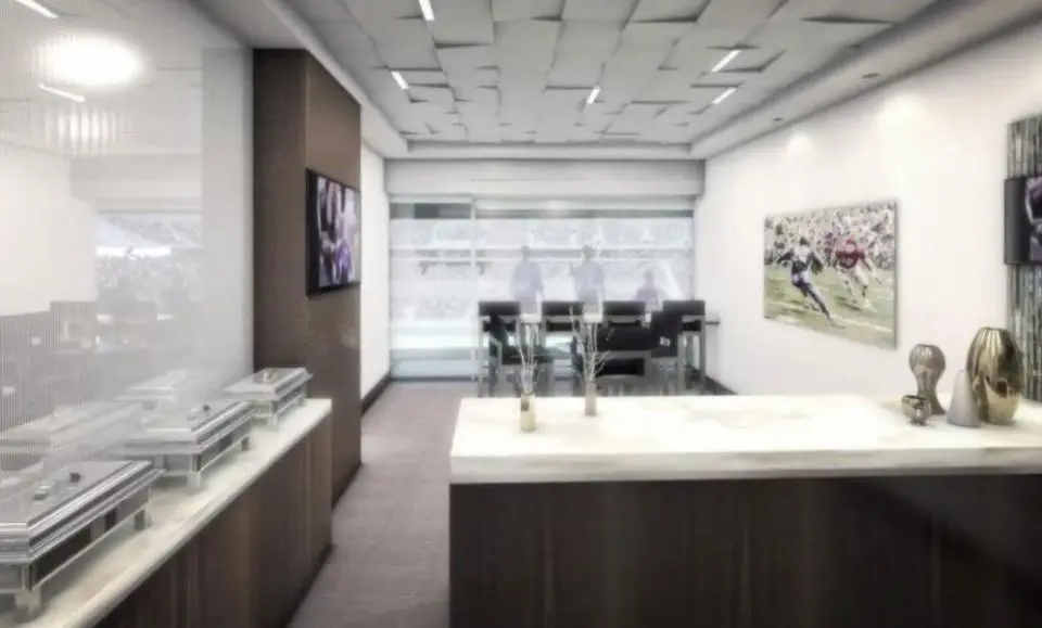 Viking Stadium skybox