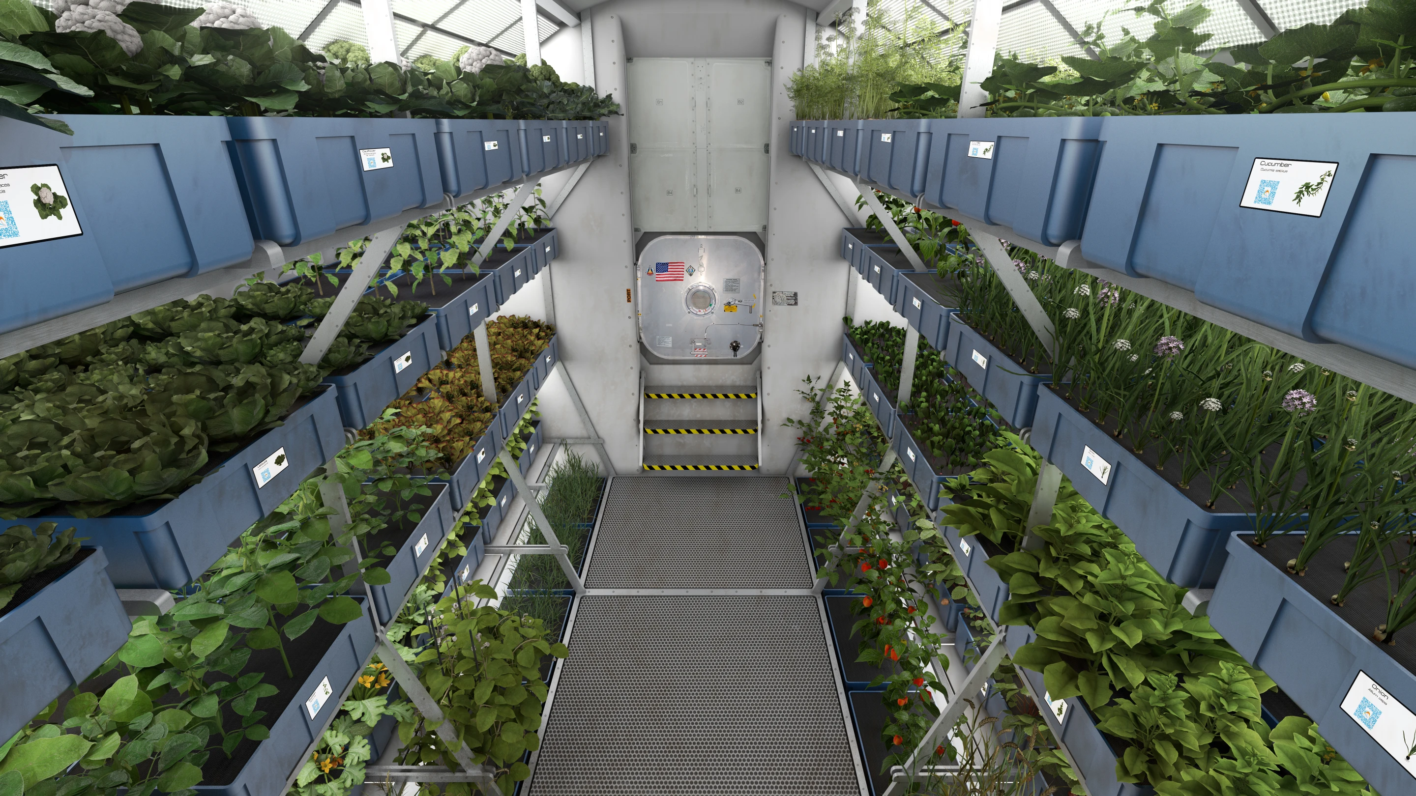 A hypothetical Martian garden of the future