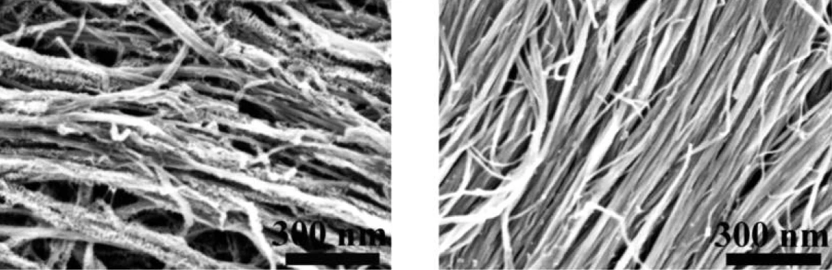 The image on the left shows degrading yarn with silicon peeling away, while the image on the right shows the composite yarn retaining its silicon layers (Image: Wei Weng)