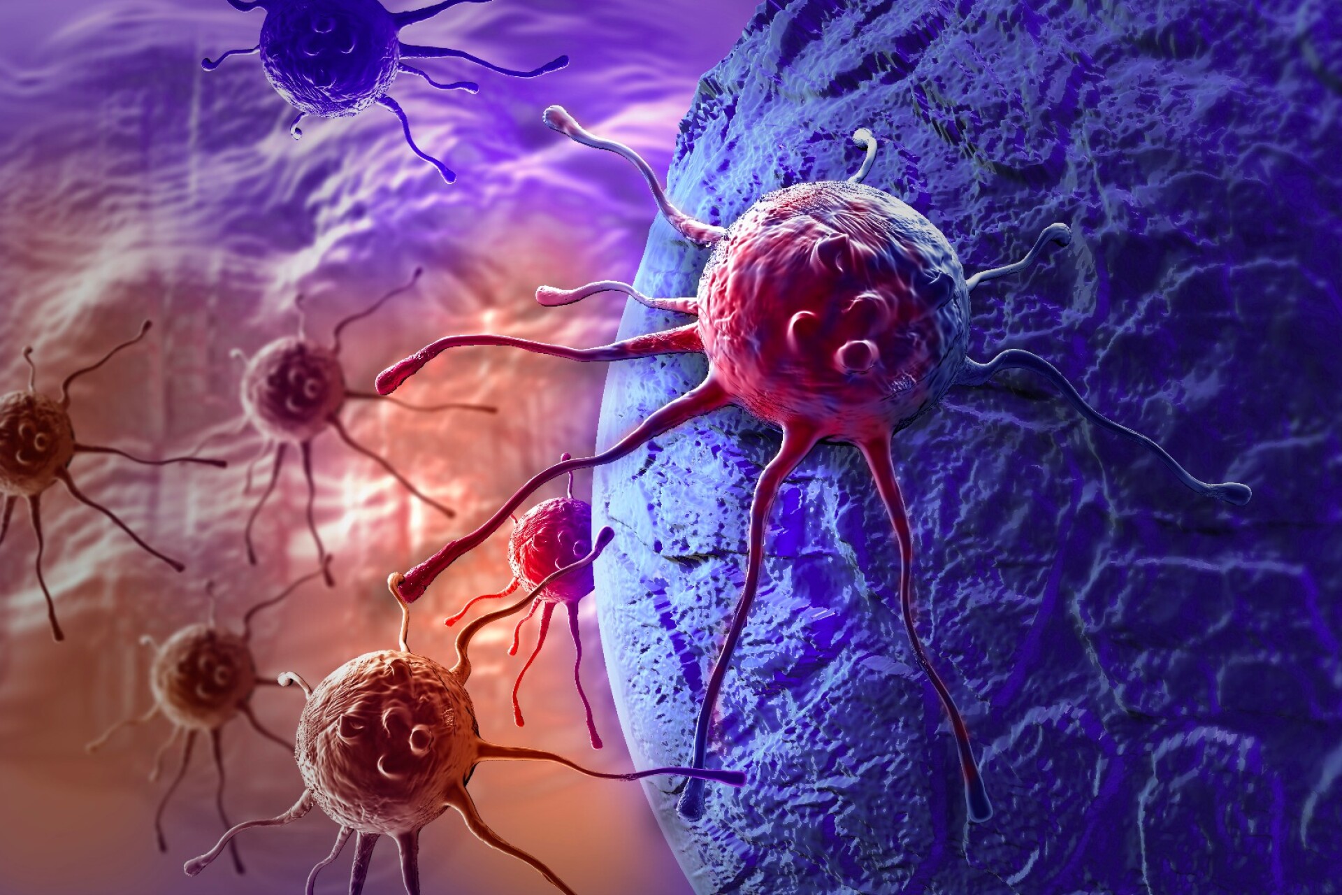 Stem cells beat the clock for brain cancer