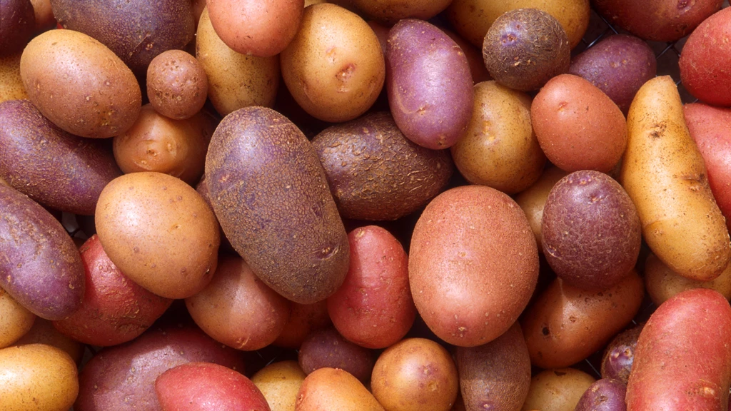 The humble spud can get an antioxidant boost from an electric current or ultrasound waves
