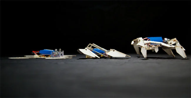 Self-assembling robot stands up and walks away (Photo: Harvard's Wyss Institute)