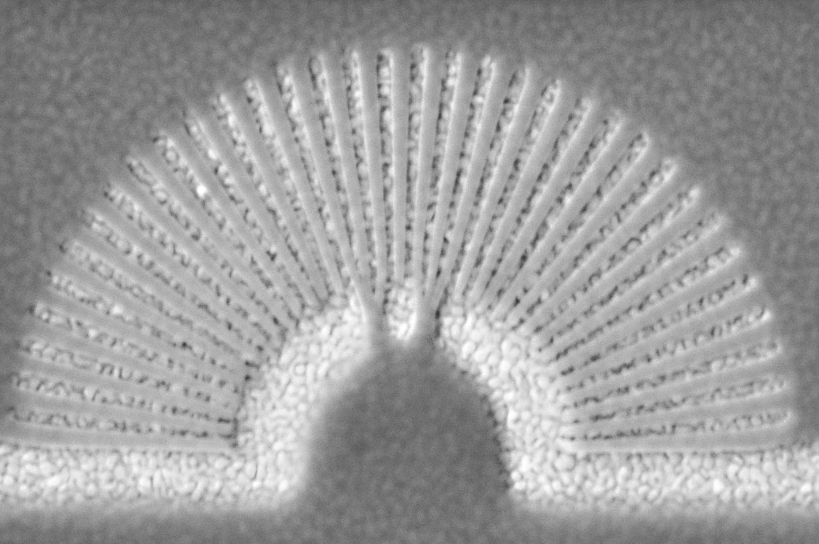 Scientists at the University of Buffalo have created a prototype visible light "hyperlens" that may help image objects that were once only clearly viewable through electron microscopes