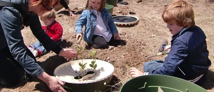 The Groasis Waterboxx is a low-tech device that helps saplings grow into trees in inhospitable environments