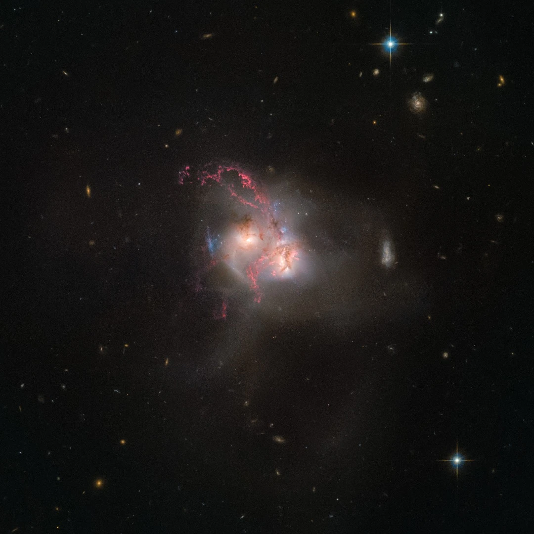 NGC 5256 is a pair of galaxies in its final stage of merging. The new data make the gas and dust being whirled around inside and outside the galaxy more visible than ever before