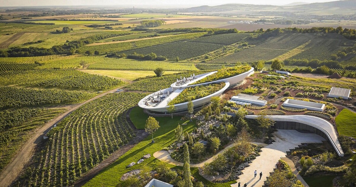 Hungarian Winery Floats Above Historic Tokaj Vineyards