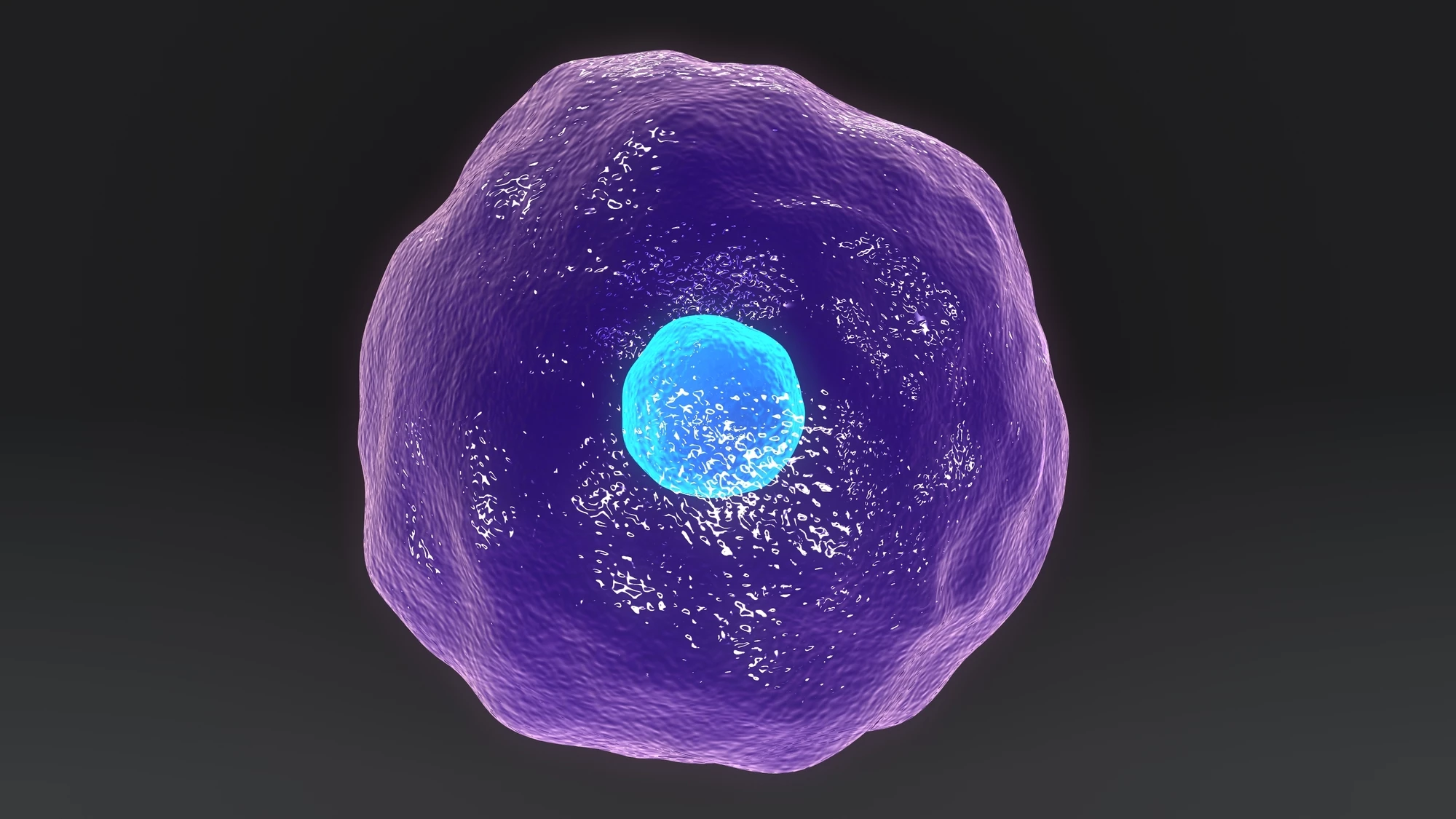 CAR T cell therapy involves removing T cells from the body and supercharging them against a target like cancer or now, potentilly, fungal infection