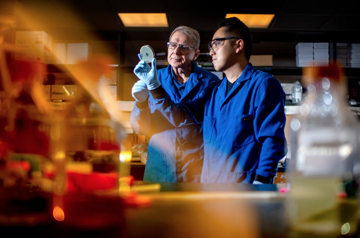 Northeastern's Kim Lewis and Yu Imai, who have developed darobacti