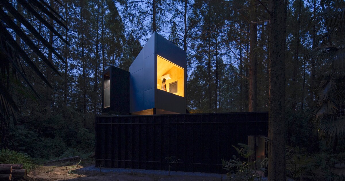 China's Secret Camp offers a unique forest retreat