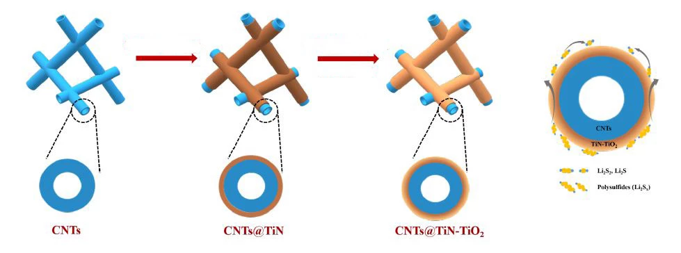 Diagram depicting the porous sponge developed by Okinawa Institute of Science and Technology Graduate University scientists, consisting of carbon nanotubes coated in titanium nitride and titanium dioxide