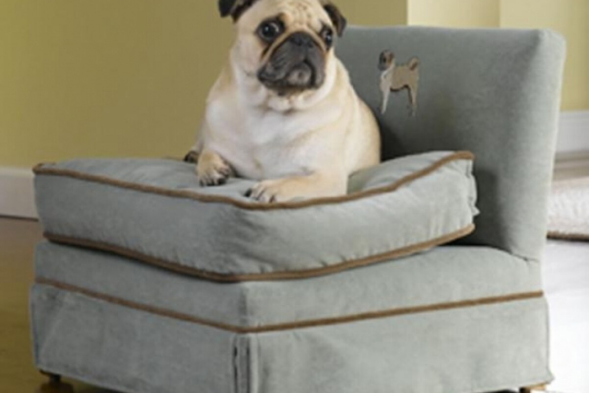 The latest in Canine Chic Pet Chairs