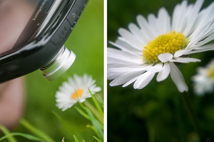 The shot distance of the macro lens is between 10-23 mm
