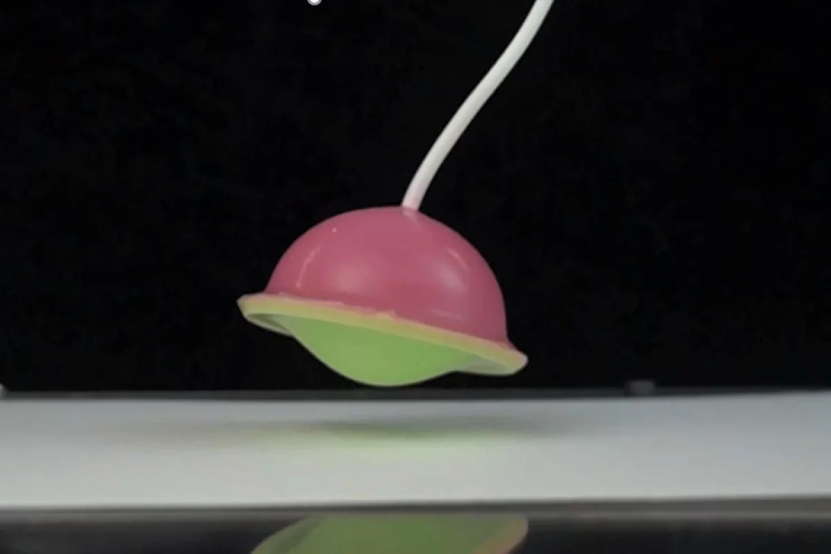 The popper-inspired actuator takes to the air