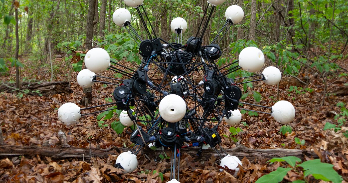 Instead of having a symmetrical body, the Argus robot takes a symmetrical approach to locomotion