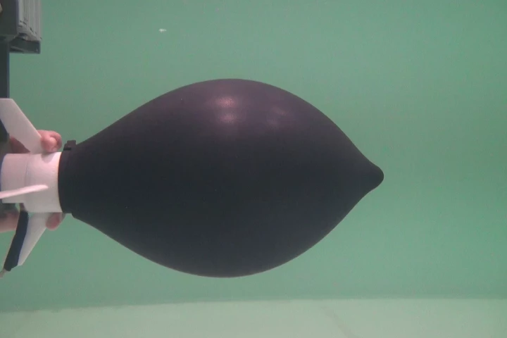 The octopus-inspired device, inflated and ready to go