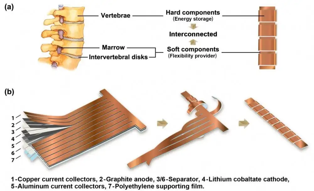 The makeup of Columbia University's flexible battery inspired by the human spine