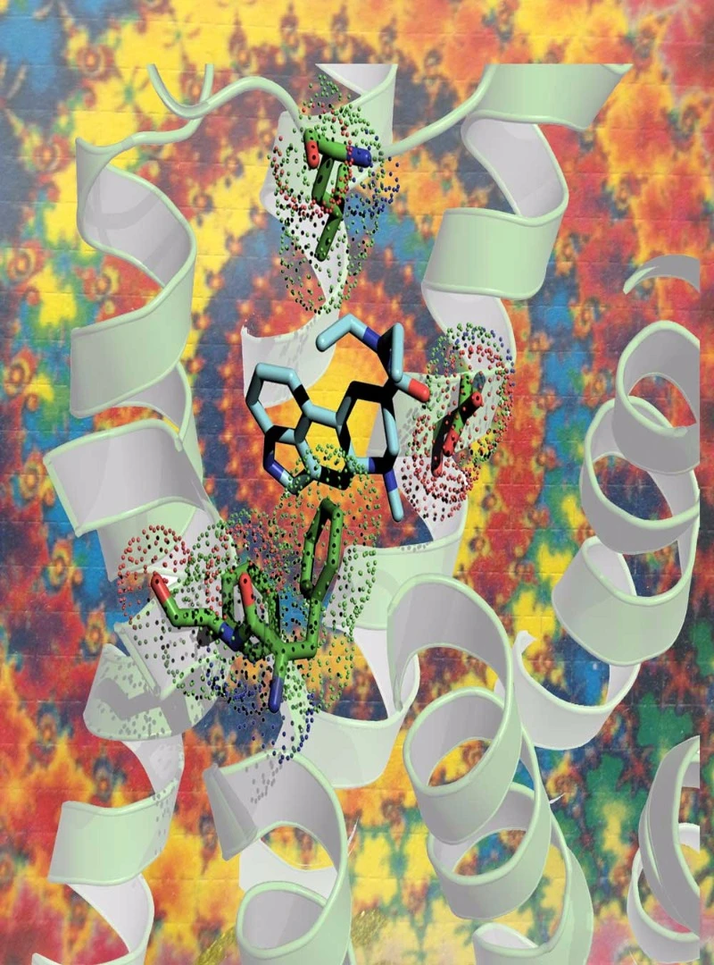 Artist's impression of LSD (in blue) fitting into a white serotonin receptor
