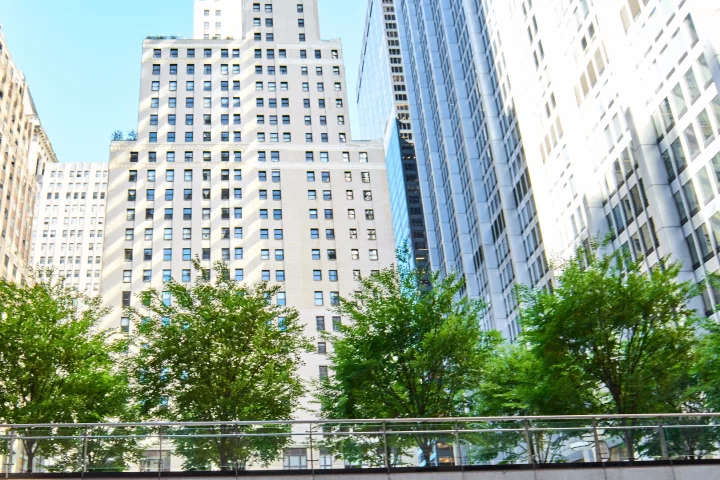 It may seem counterintuitive but a recent study has shown that, especially during heat waves, trees in a city can increase the rates of ozone formation