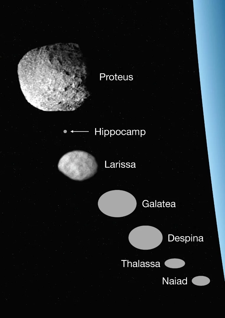 A size comparison of Neptune's inner moons