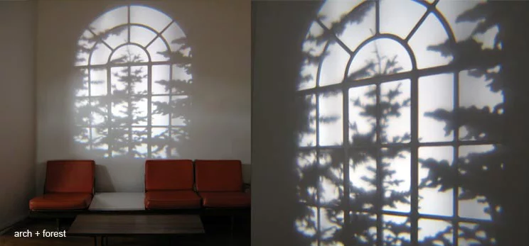 A window frame and stirring branches projected by Adam Frank's REVEAL