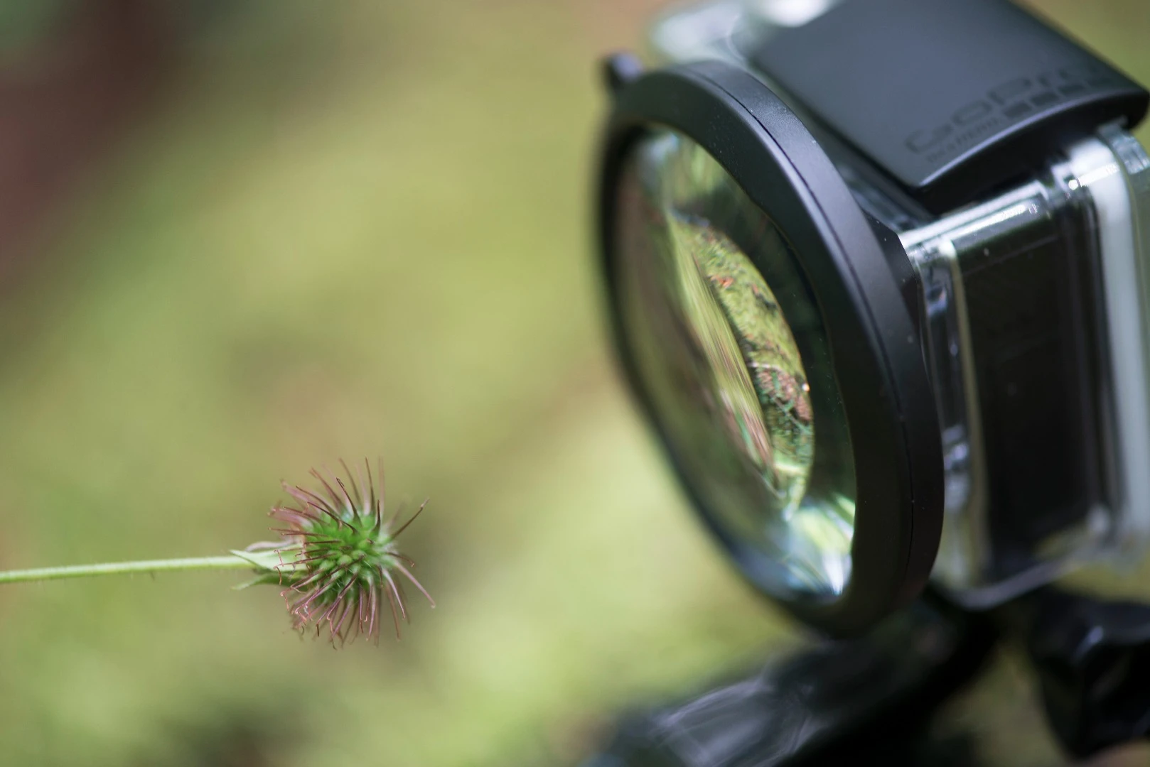 The PolarPro GoPro Macro Filter Lens offers a 3.8X magnification