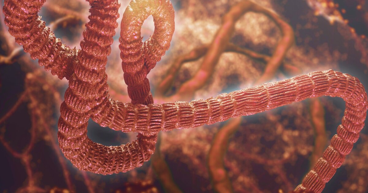 Congo Ebola Outbreak Third Largest, No Approved Vaccine
