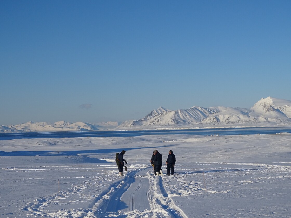 University of Manchester scientists and BAS engineer test the "metal detector" technology adjacent to Ny-Ålesund Station in Svalbard