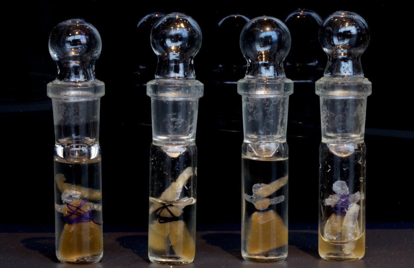 Semi-Living Worry Dolls incorporates dolls made from biodegradable polymer, that is being replaced by living cells