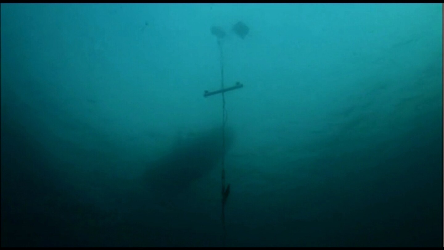 Kempster and his team fixed the Shark Shield to a rig in the waters off South Africa and attracted sharks by attaching a bait-loaded canister