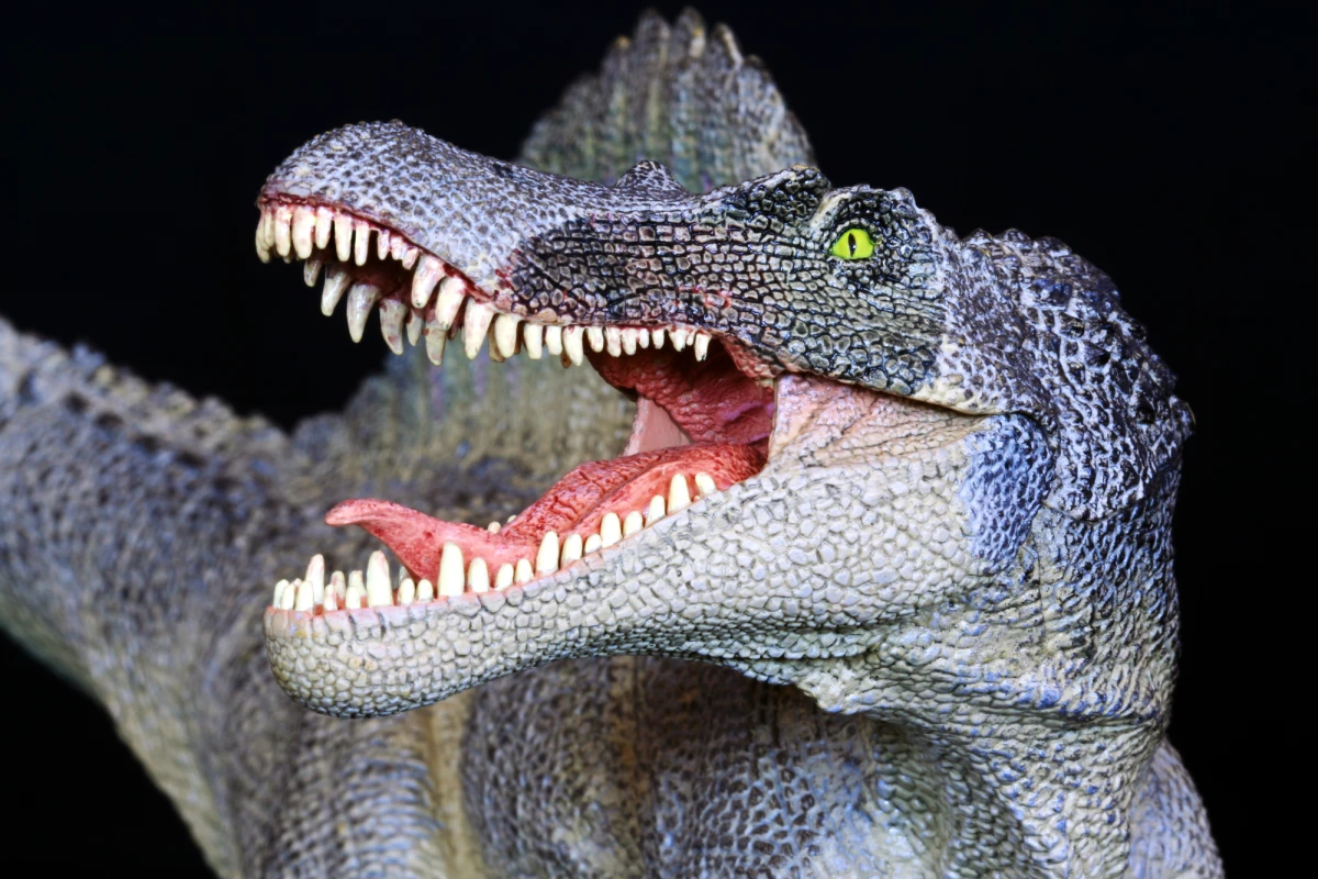 New tail fossils reveal that Spinosaurus was an aquatic dinosaur