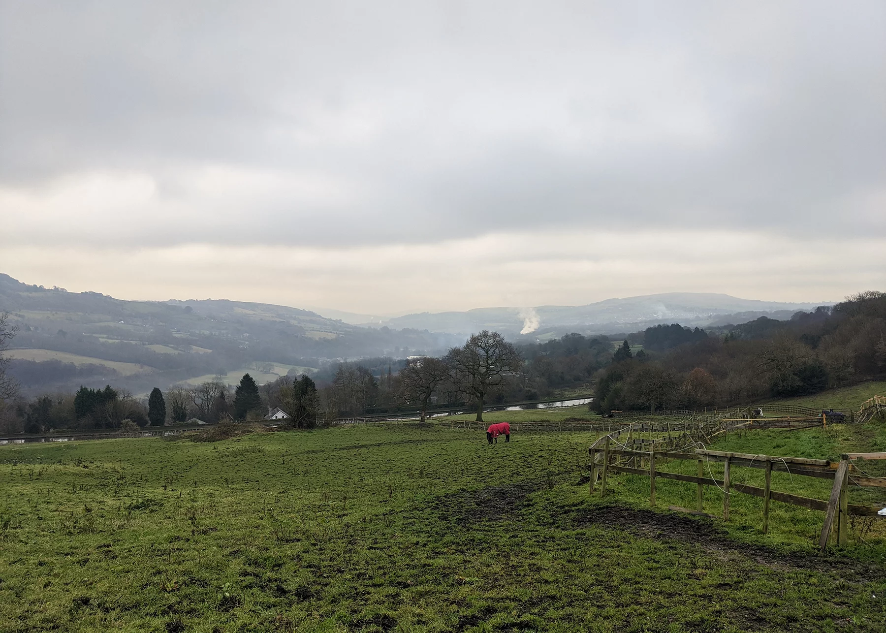 As in previous years, the Pixel 4 XL has an outstanding camera – great results are possible even on drab days