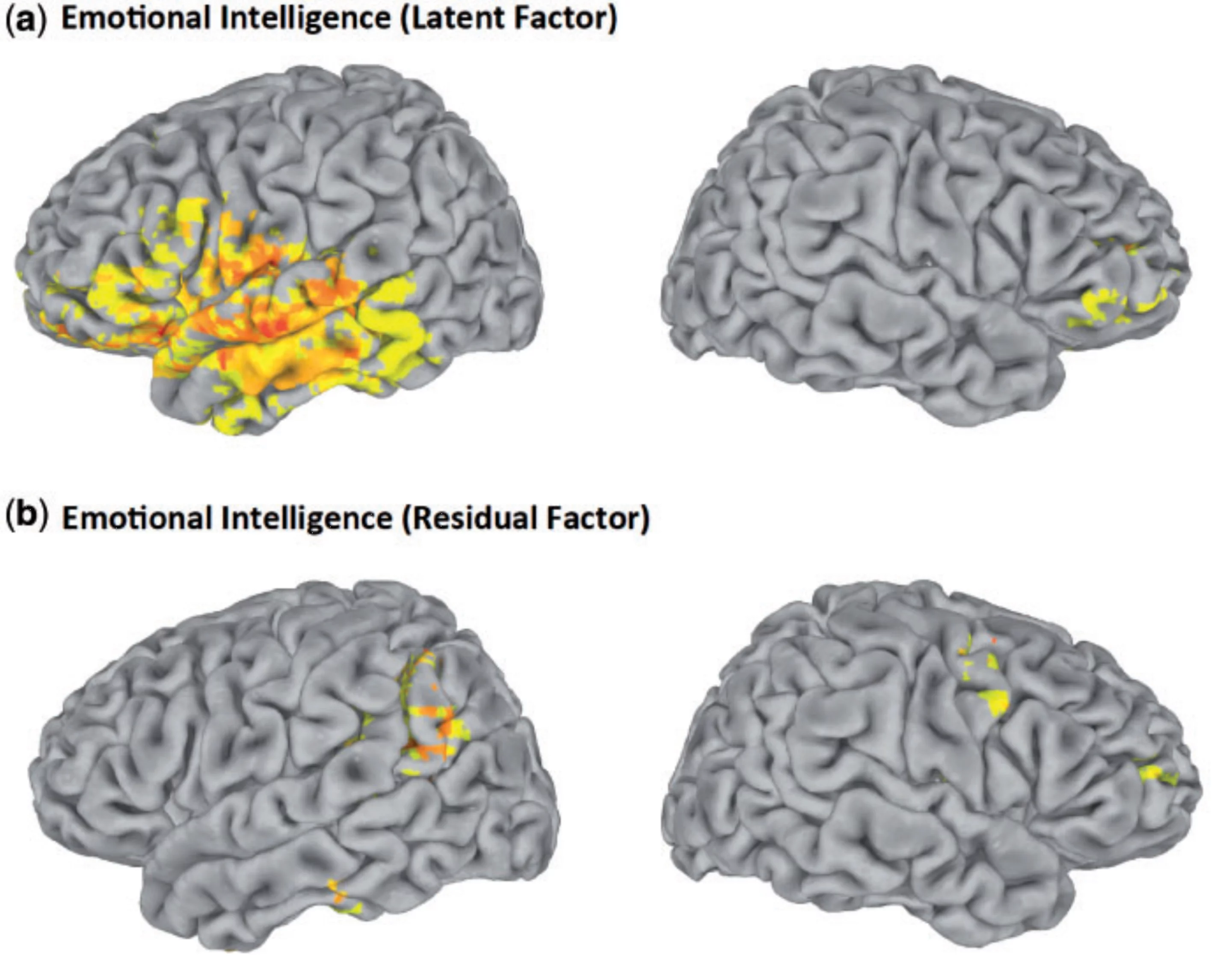 Differences between latent emotional intelligence and residual intelligence due to lesions
