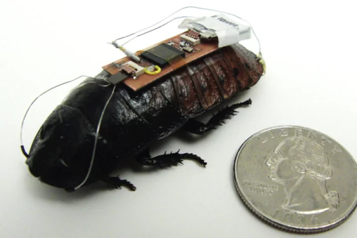 Researchers at North Carolina State University have used the Xbox Kinect to put roaches on autopilot