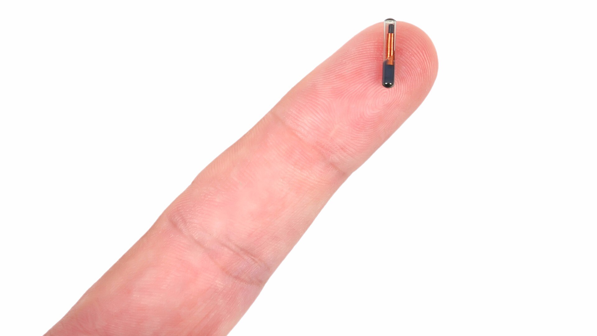 US company offers free microchip implants to all employees