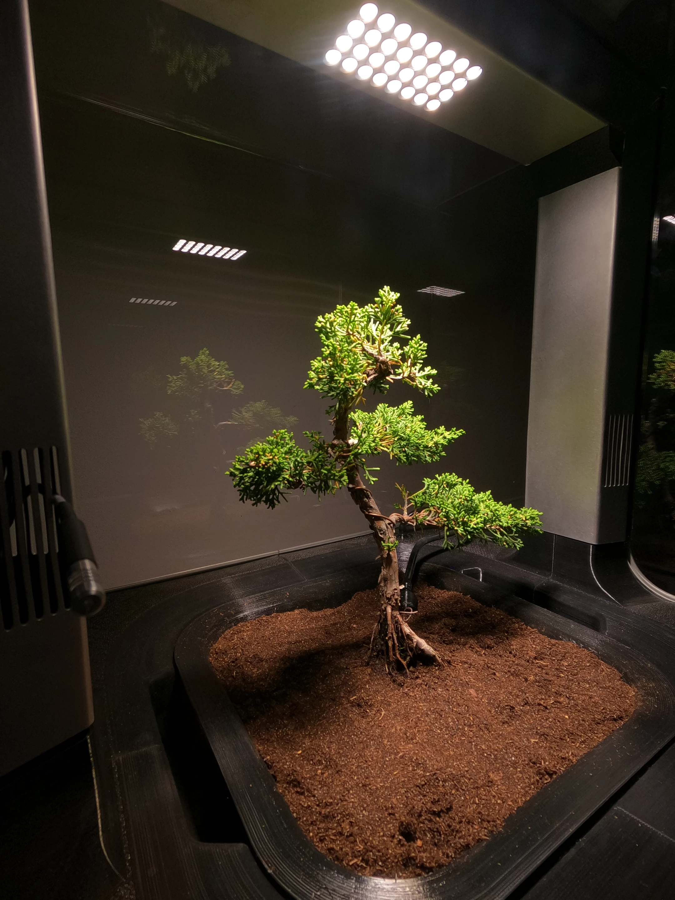 Custom plant profiles loaded into the system mean such things as light cycles and watering can be set to meet specific plant needs