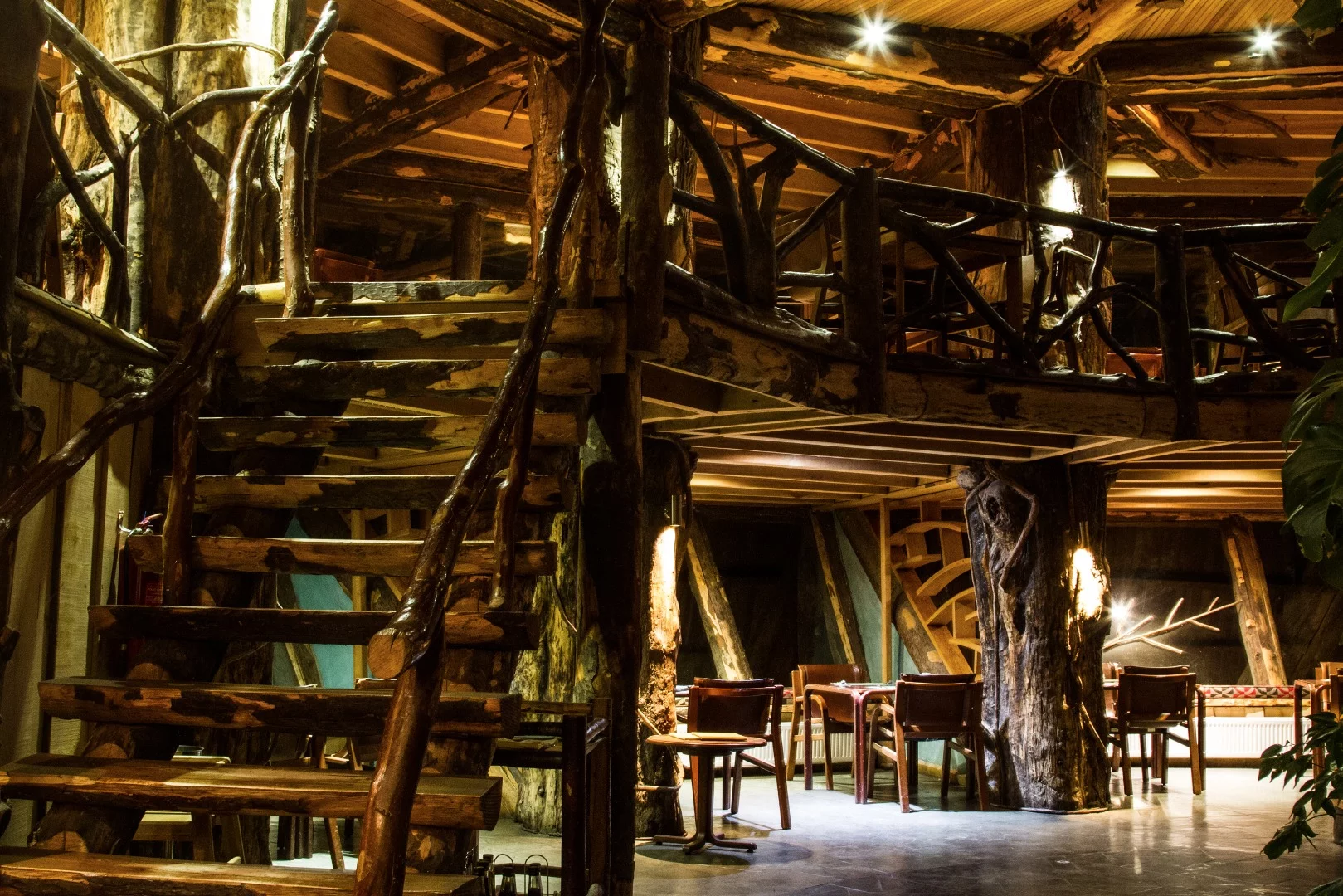 Of all the interiors, the Nothofagus's grand atrium is undeniably the most impressive