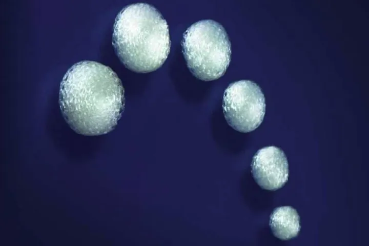 Scientists have created the world's first biodegradable joint implant (pictured), which causes the body to regrow injured joint tissue