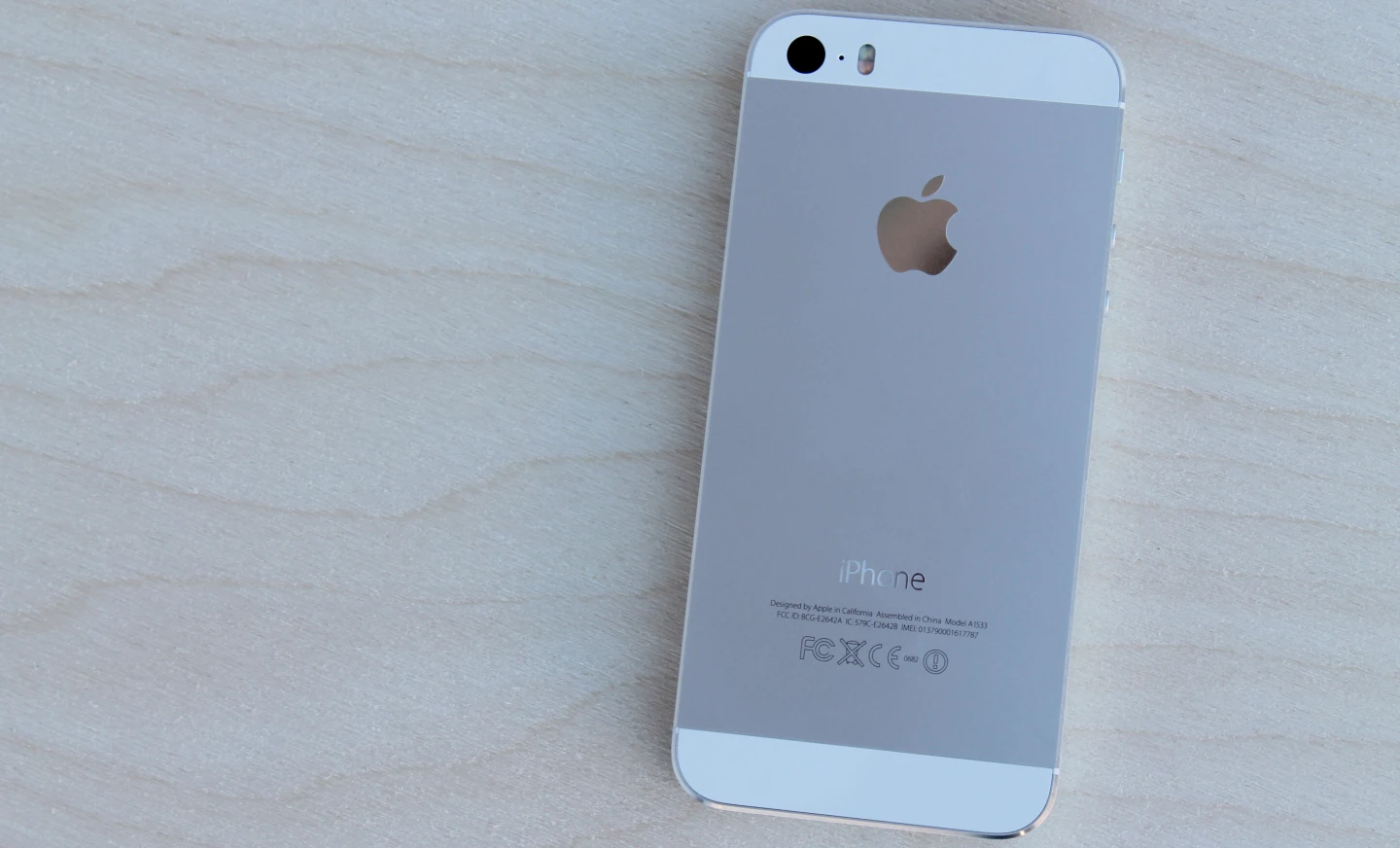 The back of the iPhone 5s