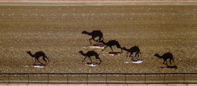Vertical Racing: Highly Commended in the People category