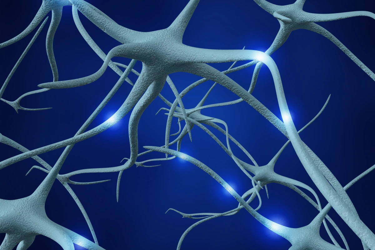 New technology could facilitate the healing of damaged nerves (Image: Shutterstock)